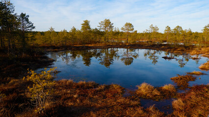 Fototapeta na wymiar spring bogs, beautiful places in Estonia