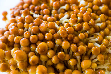 Golden brown Asian Enoki mushrooms, vegetable background