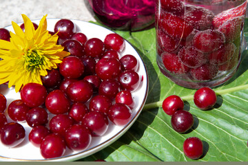 Red cherry berries and yellow flower on a white plate and a green leaf . The concept of healthy cherries