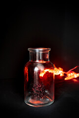 
Tree dried fruit with a shape similar to that of a virus, photograph that simulates a virus hunted in a glass jar. Metaphorical image of beating a virus with dark background and red lights