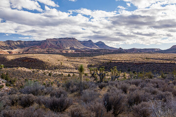 Grand Canyon Parashant