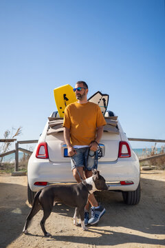 Male owner with domestic Pitbull dog standing on beach near car on sunny day and having fun