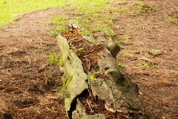 Atardecer en una finca, tarde de verano en casa de campo 
