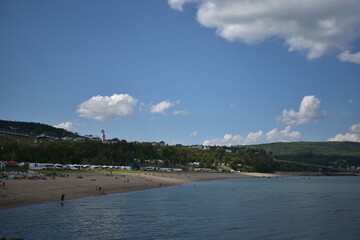 closeup of pink flowers with green leaves in the background