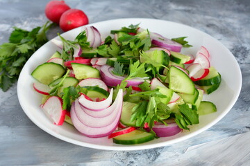 mixed salad with cucumber garden radish and onion and parsley on the concrete background