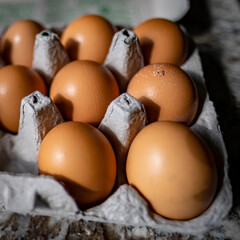 eggs in carton