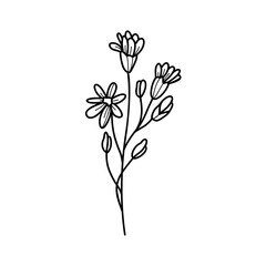 Hand drawing flower. Perfect for wedding invitations, greeting cards, blogs. Vector illustration isolated on white.