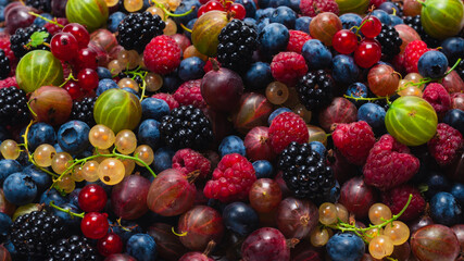 Gooseberries, blueberries, mulberry, raspberries, white and red currants isolated