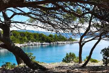 Fototapeta na wymiar Beautiful Adriatic sea in Croatia,Hvar,nice calm bay through green pine.Blue,transparent,turquoise water, sunny weather. No people