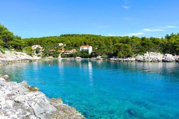 Beautiful Adriatic sea in Croatia Hvar, nice calm tranquil bay,green pine.Blue, transparent,turquoise water, sunny weather. Mudri Dolac, Basina bay - obrazy, fototapety, plakaty