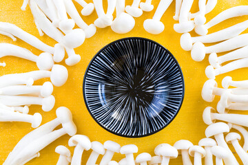 White Asian Enoki mushroom, raw vegan food on the yellow background