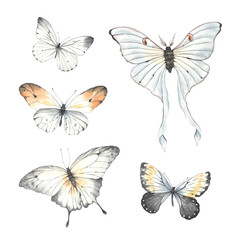 Set of flying butterflies, watercolor illustration isolated on white background. Collection design elements for your decor.