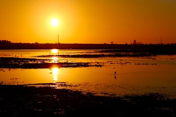 Magnifique coucher de soleil au milieu des marais camarguais