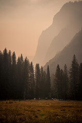 Cars under trees and mountains Cook's Meadow, Yosemite