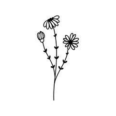 Hand drawing flower. Perfect for wedding invitations, greeting cards, blogs. Vector illustration isolated on white.
