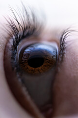 close up of a female eye