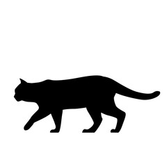 Black Cat Silhouette on White Background. Icon Vector Illustration. Concept for  Logo, Print, Sticker.