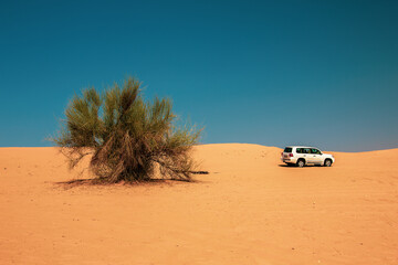 SUVs in the Great Arabian Desert , Dubai.