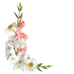 Flowers. Floral background. Orchid. White. Pink. Lilies. Gladiolus. Chamomile. Border.