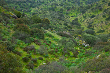 Parque Natural Sierra de Andújar, Jaen, Andalucía, España