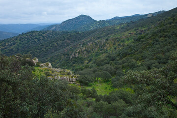 Fototapeta premium Parque Natural Sierra de Andújar, Jaen, Andalucía, España