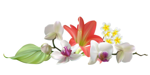 Tropical flowers. Pink lily. White orchids. Plumeria. Bouquet. Vector illustration. Floral background. 