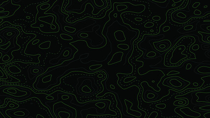 Fototapeta na wymiar The stylized height of the topographic contour in lines and contours.Geometric abstract grid. The concept of a conditional geography scheme and the terrain path.Vector illustration.