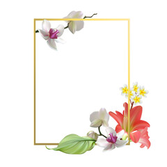 Tropical flowers. Orchids. Lilies. Green leaves. Plumeria. Pink. White. Gold square frame. Bouquet. Floral background.