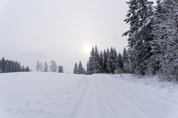 Fototapeta premium white winter and snowy road in the woods where the trees are snowy white