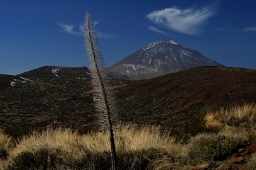 Teide, Teneriffa, Tenerife, Kanaren, Canarias, Insel, Reise, Urlaub, Ausflug, Berg, Spanien,...