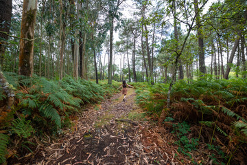 
A young woman is walking through the forest.
He is wearing a brown bib.
It is a general shot in which nature is seen.
Spain, Galicia