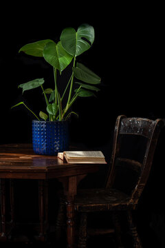 Green monstera potted plant placed on wooden rustic table with opened book in dark studio on black background