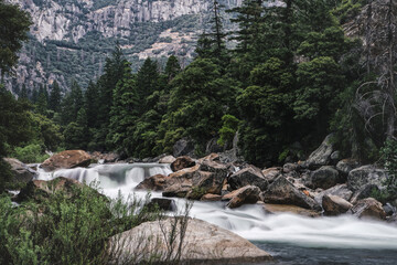 Powerful stream of river flowing in highland area in evergreen forest in Yosemite National Park in California