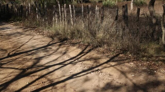 Chemin ombrag&eacute;