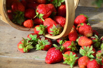 Ripe strawberries with leaves in wicker basket on wooden table on blurred background