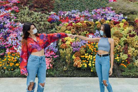 Cheerful young women in casual clothes and medical masks bumping fists while meeting in park near blooming flowers during coronavirus pandemic