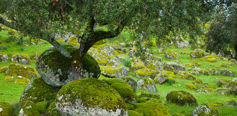 Parque Natural Sierra de Andújar, Jaen, Andalucía, España
