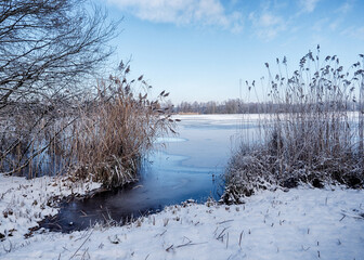 blick auf einen see im winter mit eis und schnee in schleswig holstein bei schönem wetter im naturpark lauenburgische seen, ort güster