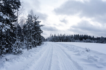 white winter and snowy road in the woods where the trees are snowy white