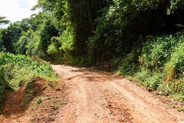 A dirt road in the forest in rural Kenya