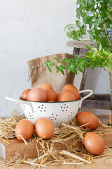 Heap of brown chicken eggs in white colander placed on table in cozy home kitchen