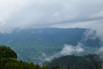 Foggy mountain landscapes in the Aberdares, Kenya