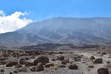 Scenic view of Mount Kilimanjaro seen from Marangu Route, Tanzania