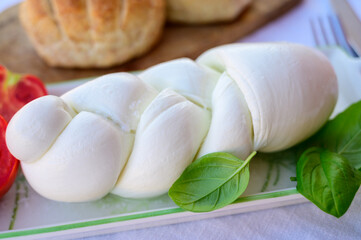 Fresh soft white italian cheese braid mozzarella buffalo made from Italian buffalo's milk by pasta filata method