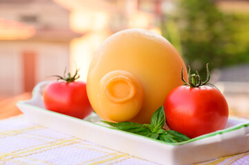 Cheese collection, Italian cheese provolone or caciocavallo made from sheep or cow milk in South Italy, yellow smoked.