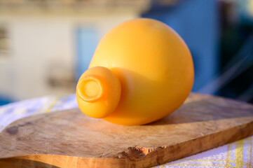 Cheese collection, Italian cheese provolone or caciocavallo made from sheep or cow milk in South Italy, yellow smoked.