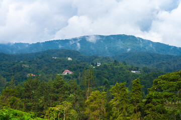 Natural landscape of dense Asian mountain jungle