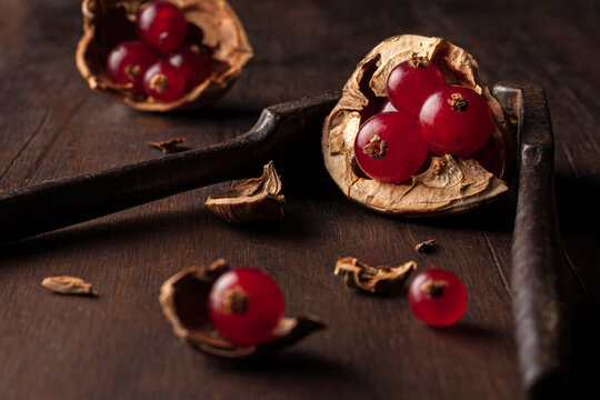 Still life composition with ripe red pomegranate seeds arranged in walnut shells on dark wooden background