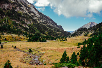 Fototapeta na wymiar Naturaleza en Huesca 