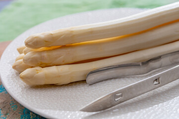 New harvest of high quality Dutch white asparagus, peeled on board, ready to cook
